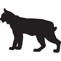 silhouette of a bobcat