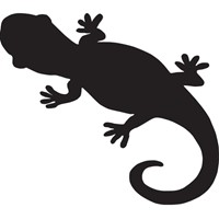 silhouette of a salamander