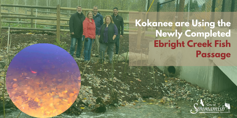 Photo of people standing by Ebright Creek. Kokanee are using the newly completed Ebright Creek fish passage.