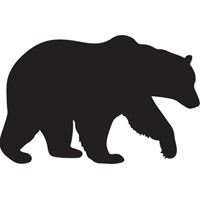 silhouette of a bear