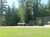 Baseball diamond at Pine Lake Park in front of tall conifer trees