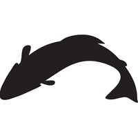 silhouette of a salmon